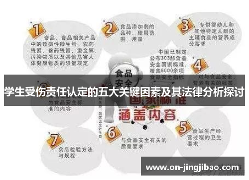 学生受伤责任认定的五大关键因素及其法律分析探讨