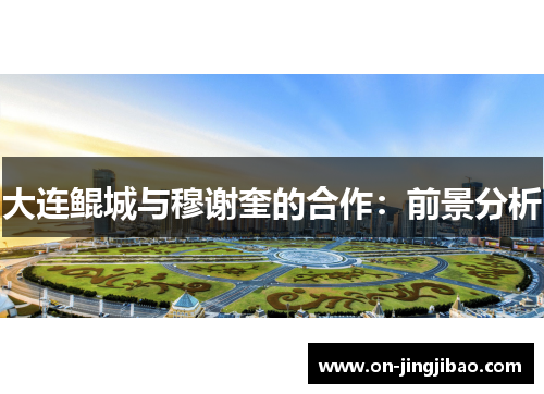 大连鲲城与穆谢奎的合作：前景分析