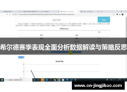 希尔德赛季表现全面分析数据解读与策略反思