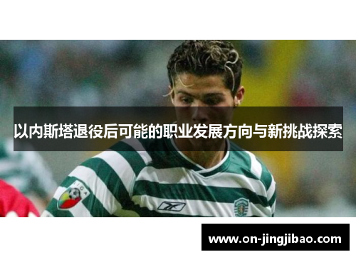 以内斯塔退役后可能的职业发展方向与新挑战探索