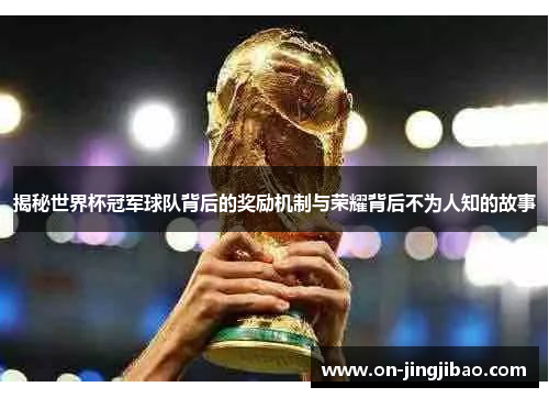 揭秘世界杯冠军球队背后的奖励机制与荣耀背后不为人知的故事